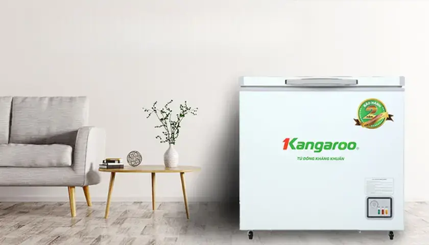 00-tu-dong-kangaroo-thumbnail.webp