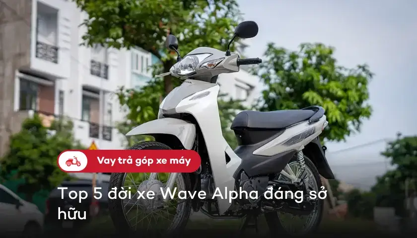 01-top-doi-xe-wave-alpha-dang-so-huu-thumbnail