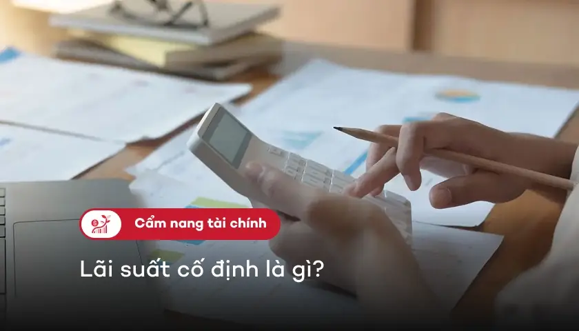 251-lai-suat-co-dinh-la-gi-thumbnail