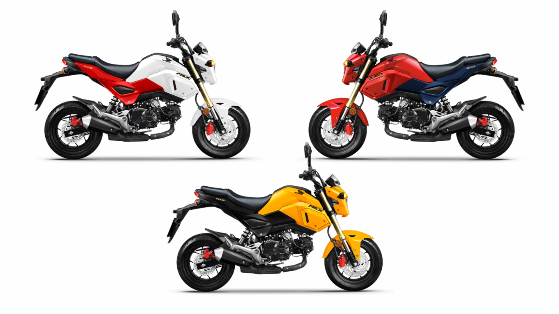 03-xe-honda-msx-125 (1).webp