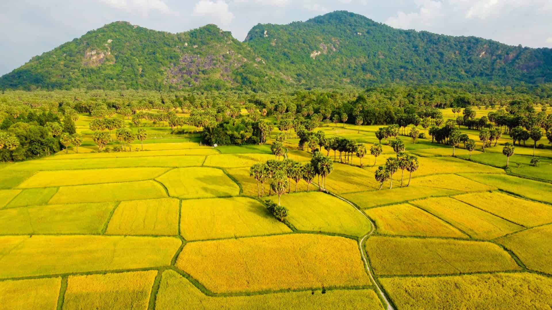 13-goc-ngoi-san-hoang-hon-cuc-dep-tai-nha-cua-may.jpg
