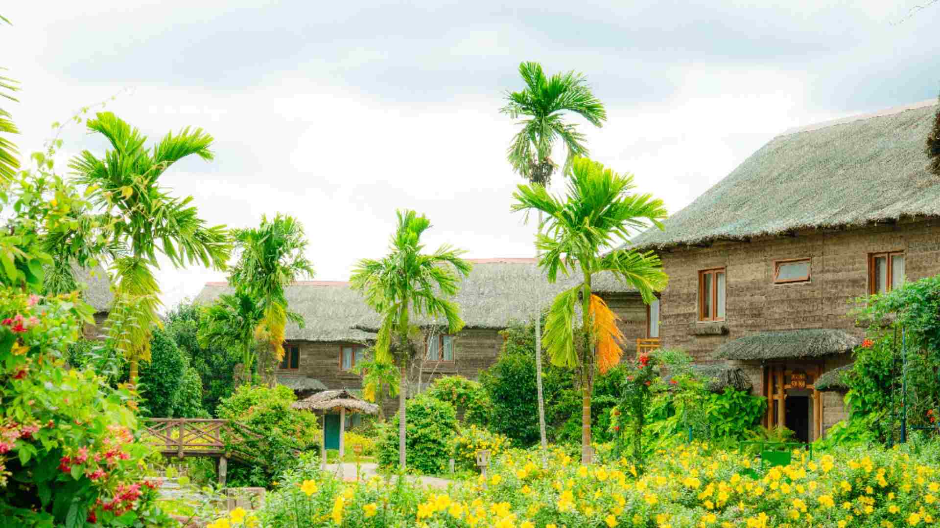 07-khach-san-can-tho-ecolodge-la-diem-den-ly-tuong-neu-ban-muon-dam-chim-trong-khung-canh-thien-nhien-trong-lanh.jpg