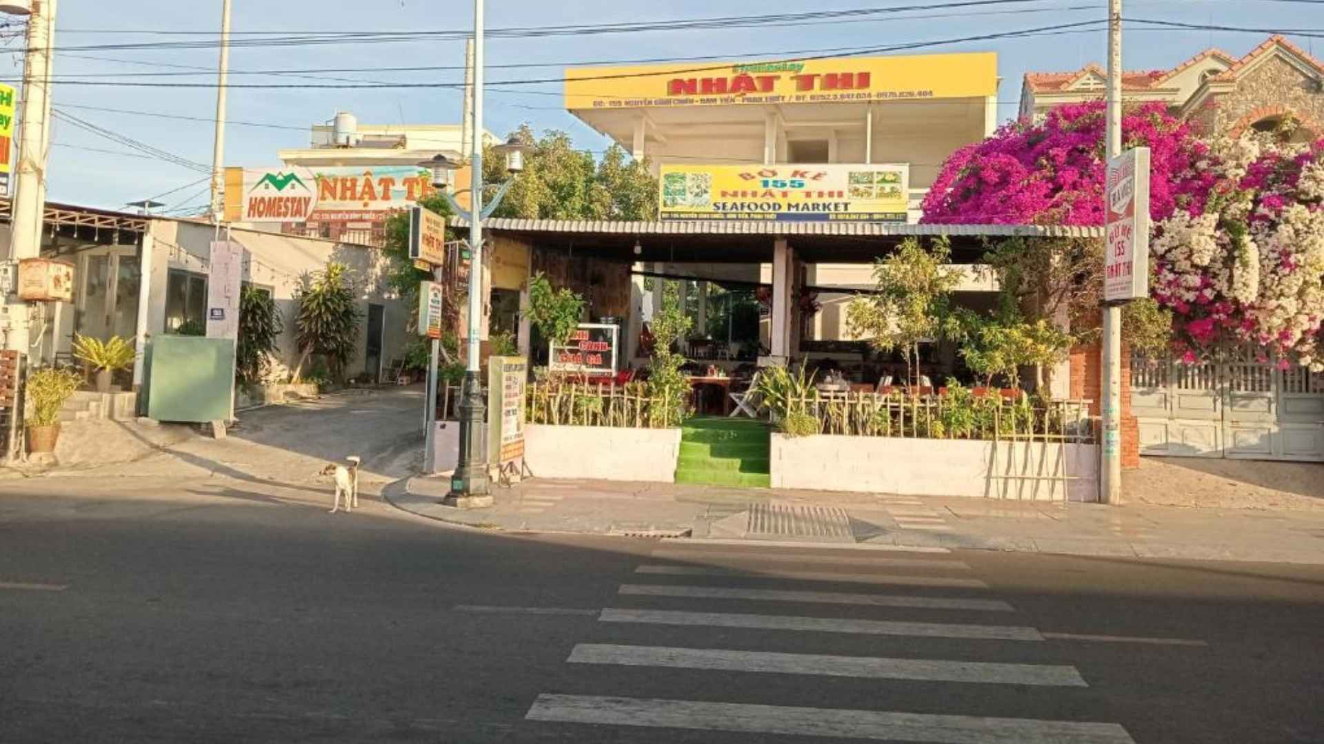 07-khung-canh-yen-binh-truoc-nha-nghi-phan-thiet-nhat-thi-guesthouse.jpg