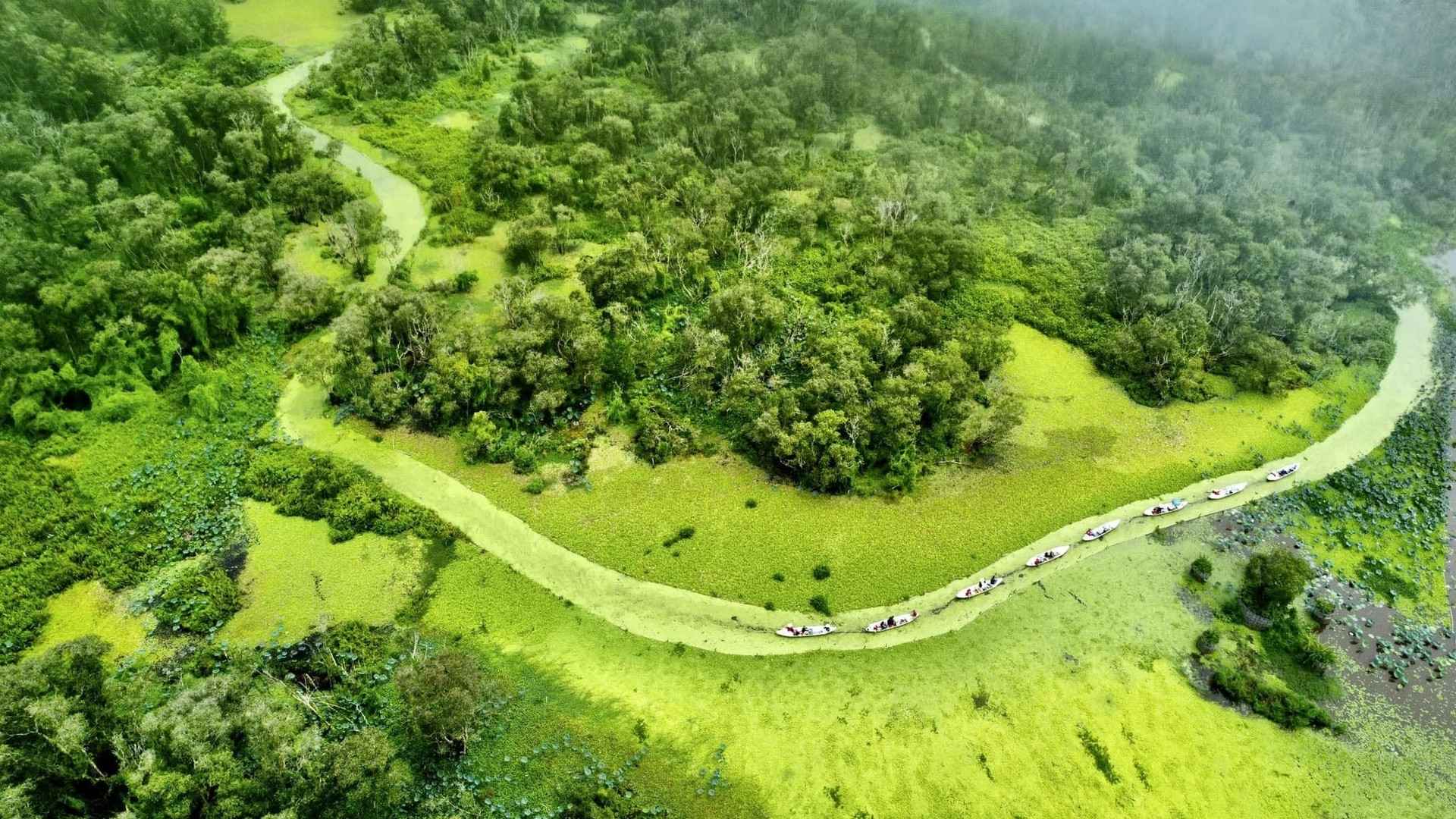 09-rung-tram-tra-su-se-dua-ban-vao-mot-khong-gian-yen-binh-thanh-mat-voi-ve-dep-thien-nhien-tru-phu.jpg