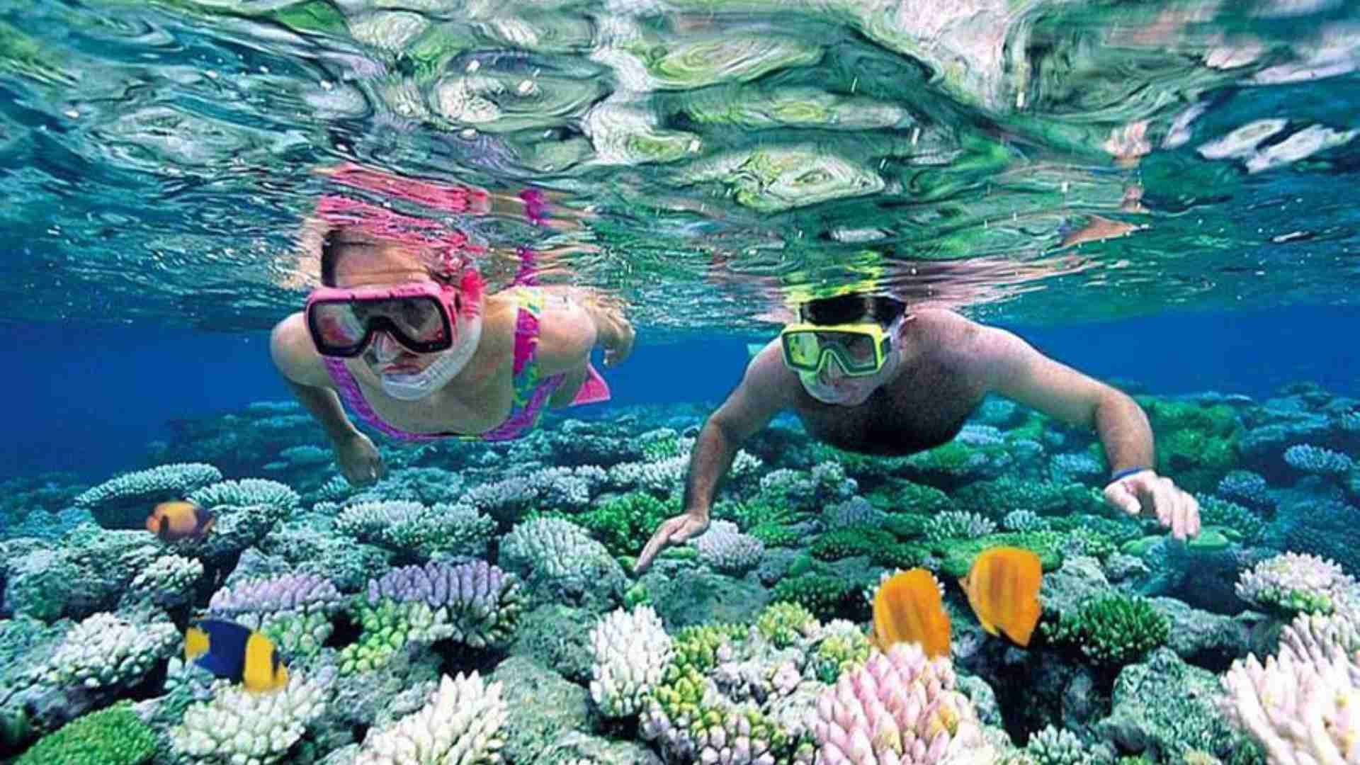 12-ban-co-the-lan-bien-ngam-san-ho-tai-vinh-ha-long.jpg
