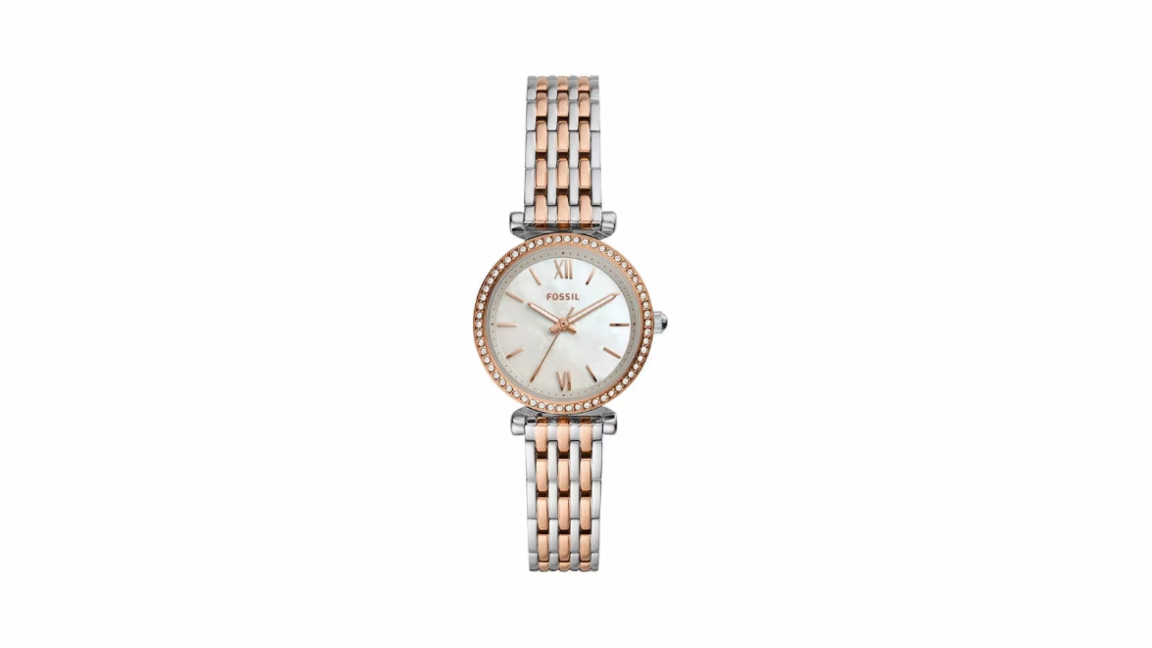 12-fossil.webp