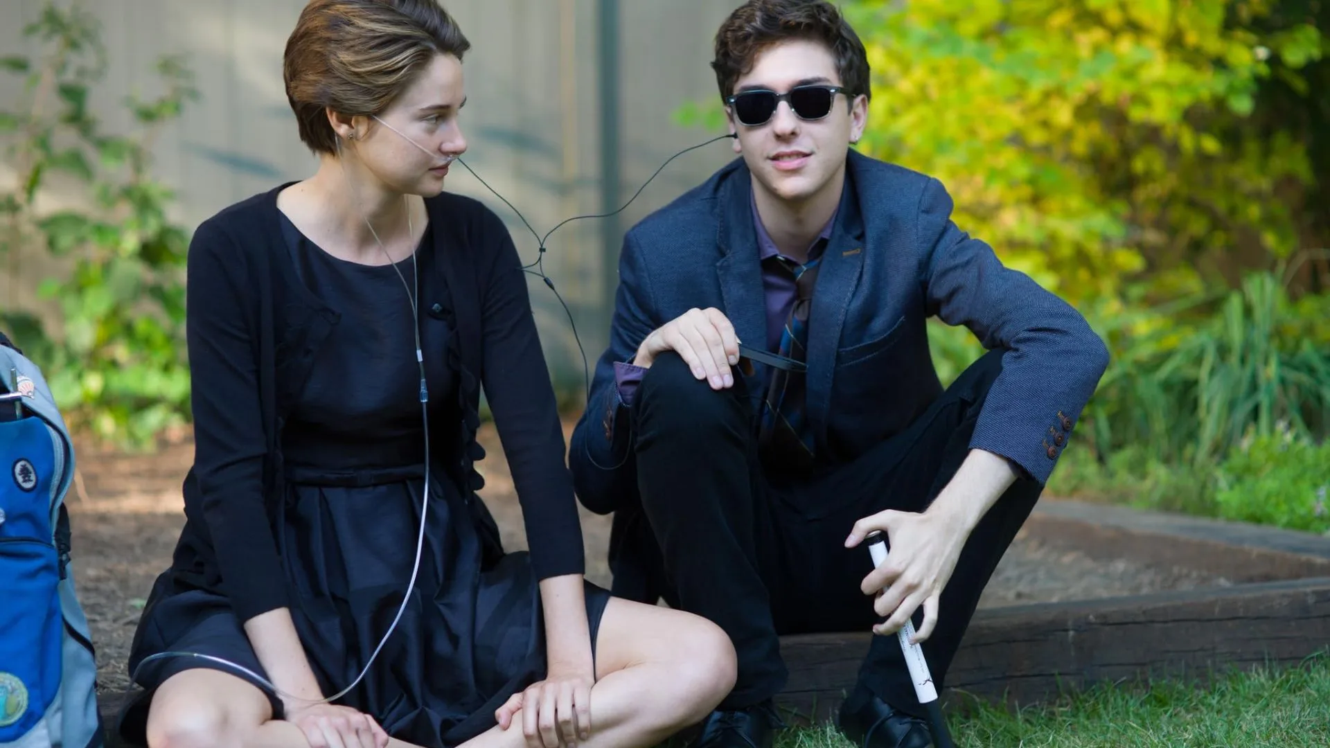 12-the-fault-in-our-stars.webp