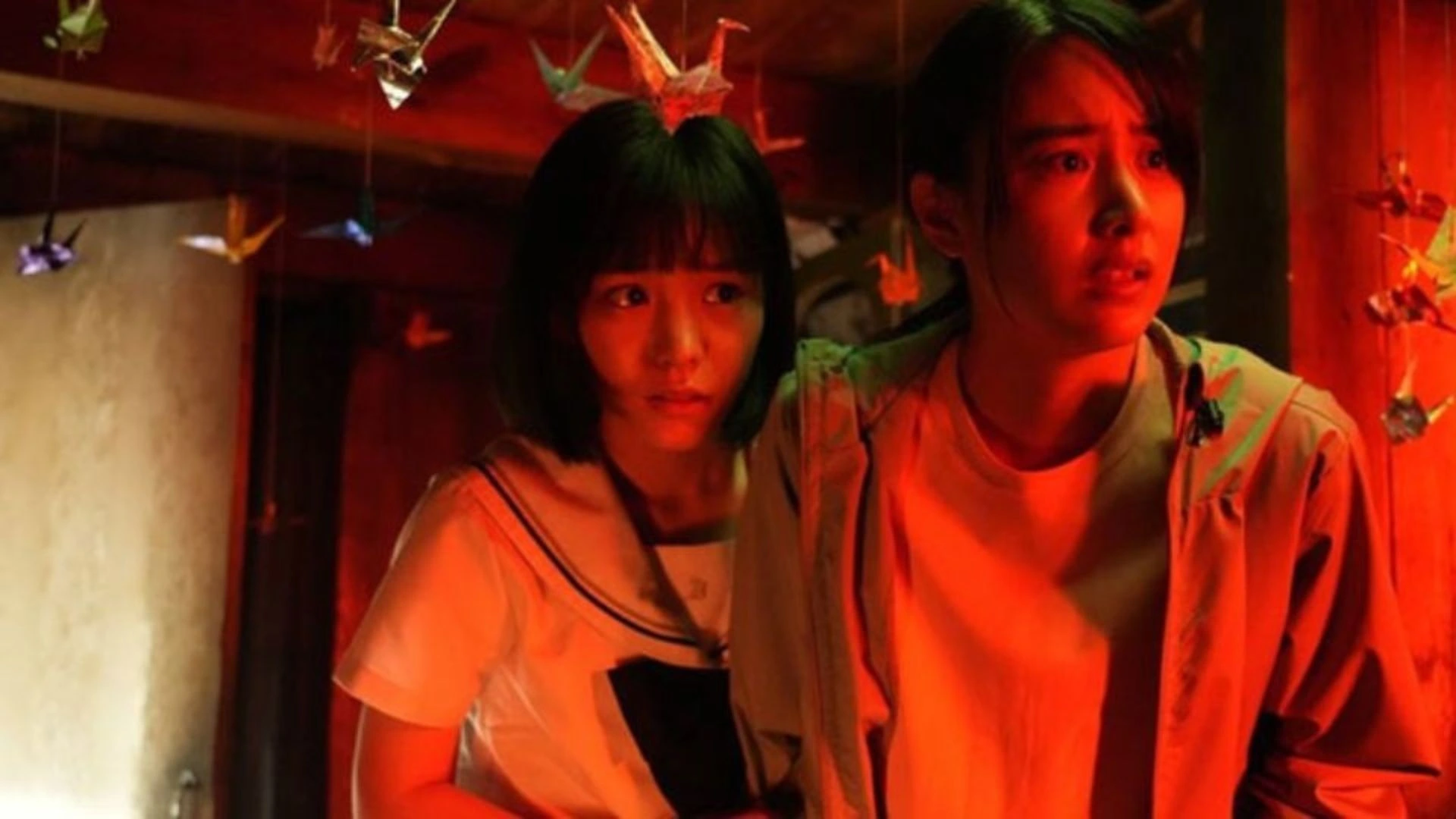 14-hoa-quy.webp