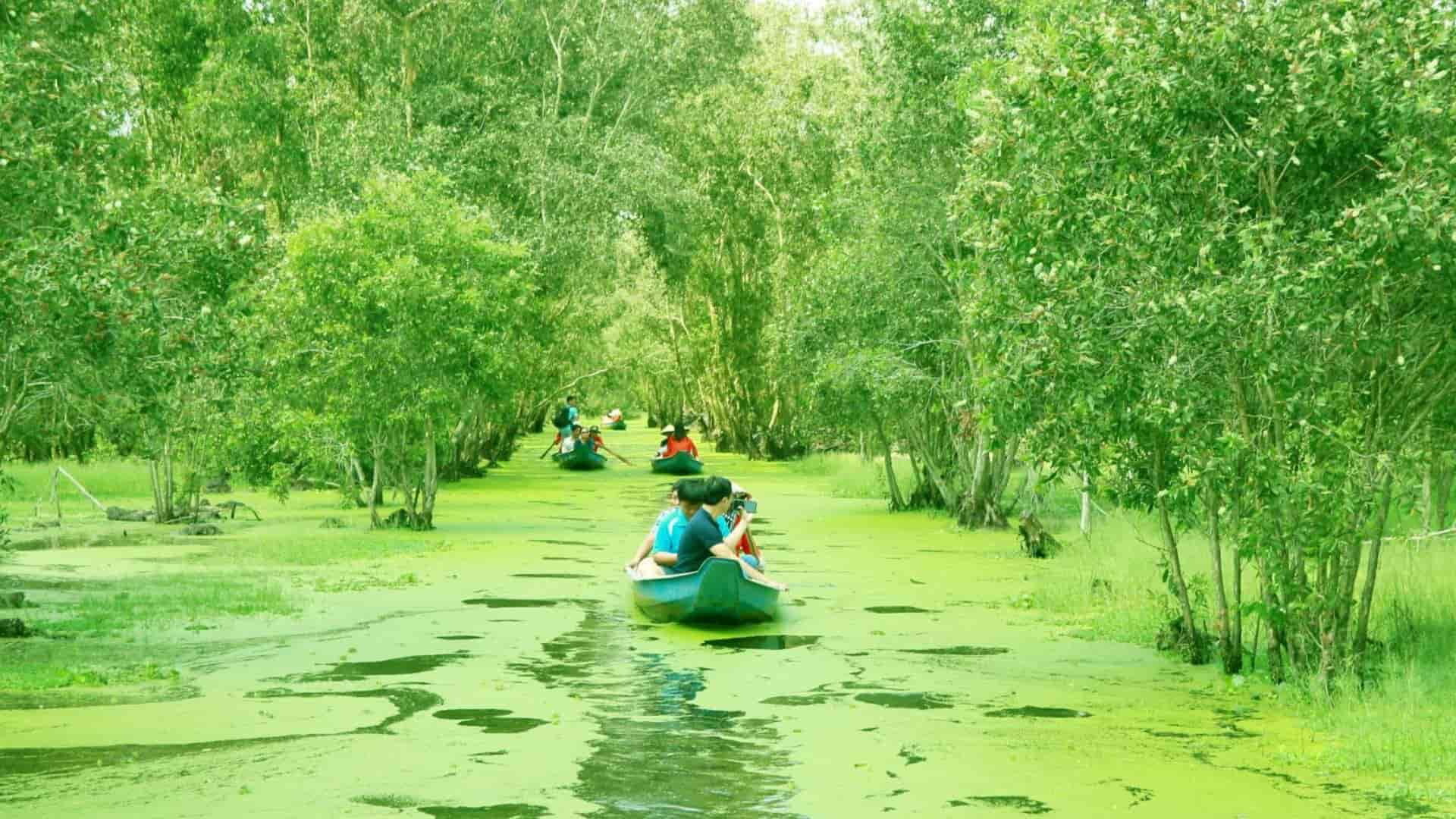 16-rung-tram-tra-su-la-mot-khu-rung-ngap-nuoc-doc-dao.jpg
