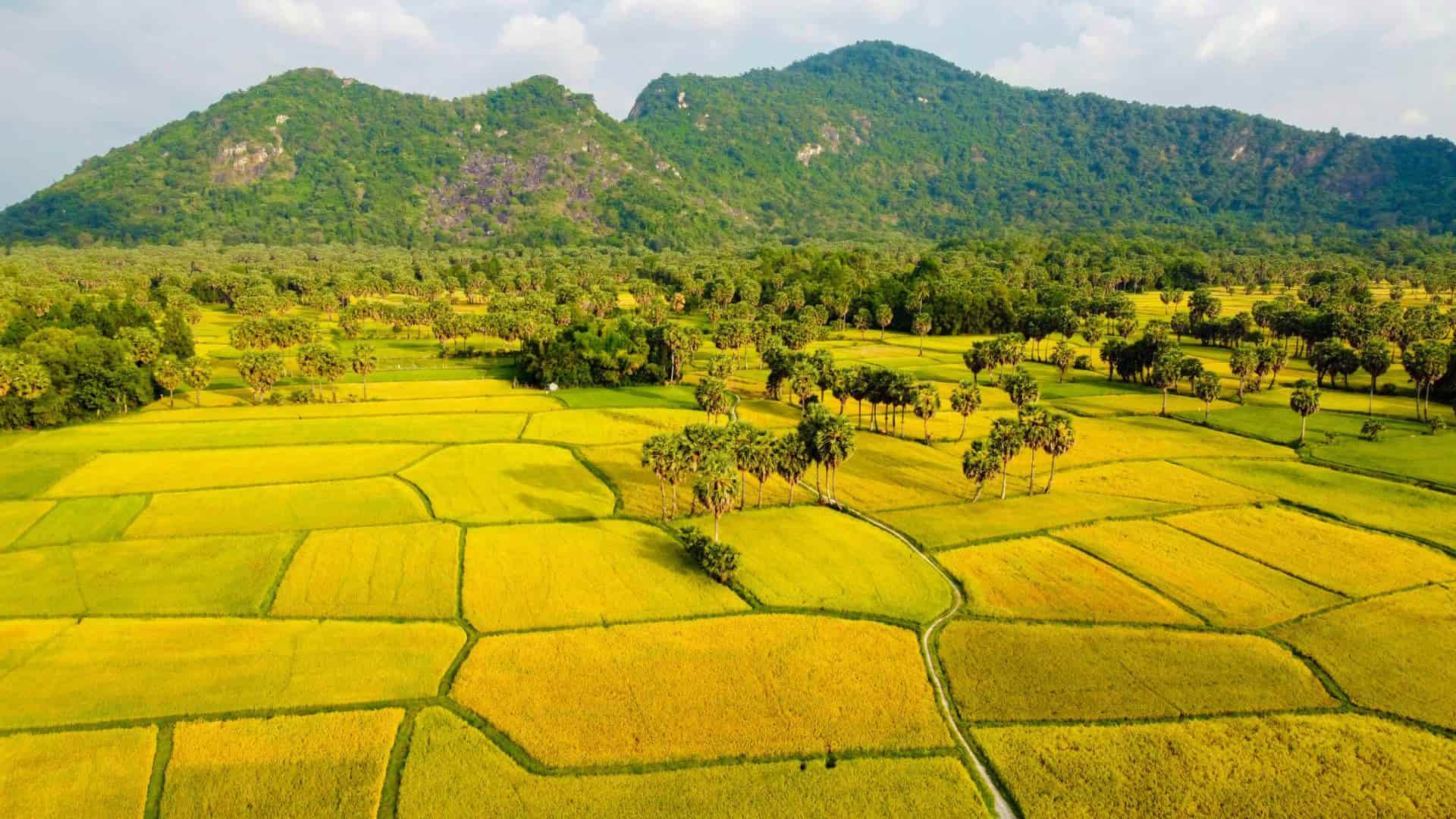 3-victoria-chau-doc-la-khach-san-4-sao-cao-cap-tai-an-giang.jpg