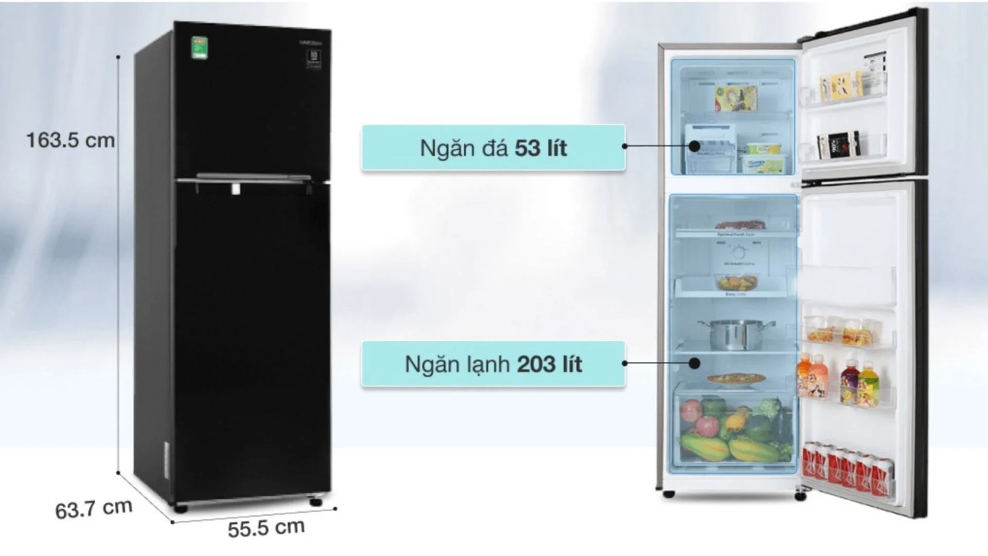 5-tu-lanh-samsung-2-canh.webp