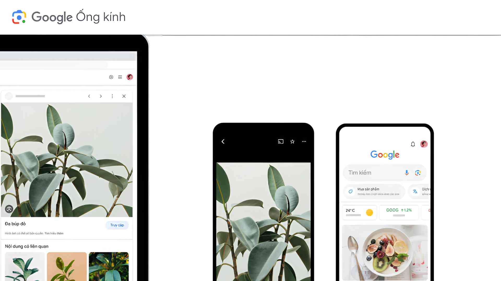 9-google-lens-tu-dong-nhan-dien-va-quet-ma-qr.jpg