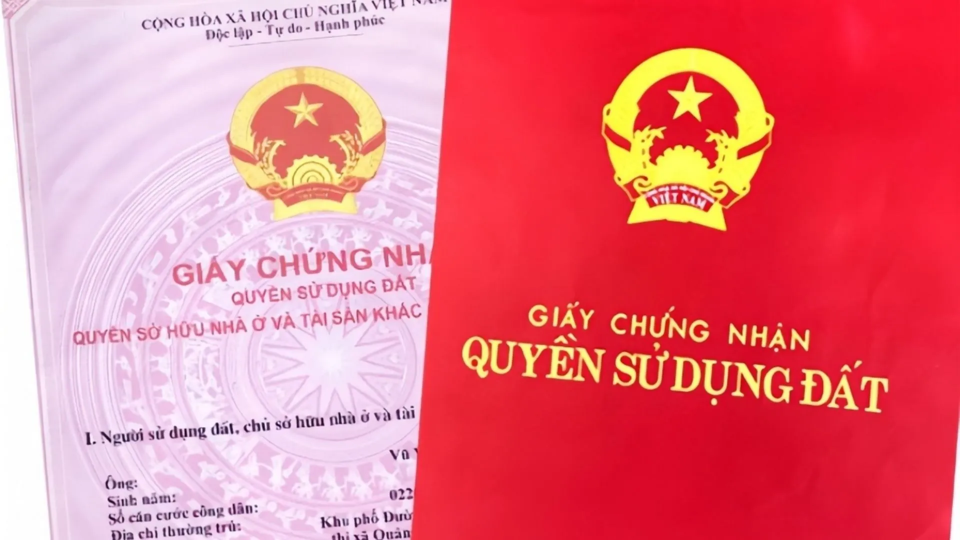 9-tra-cuu-so-cmnd-cu-9-so-qua-cac-giay-to-cu.webp