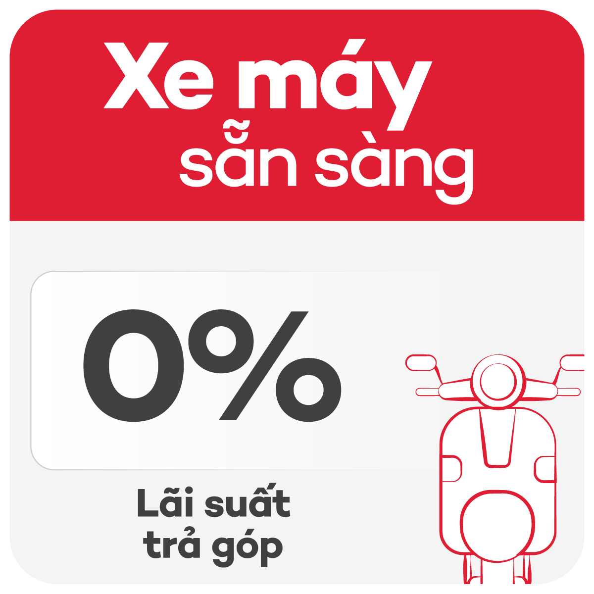 XM.png