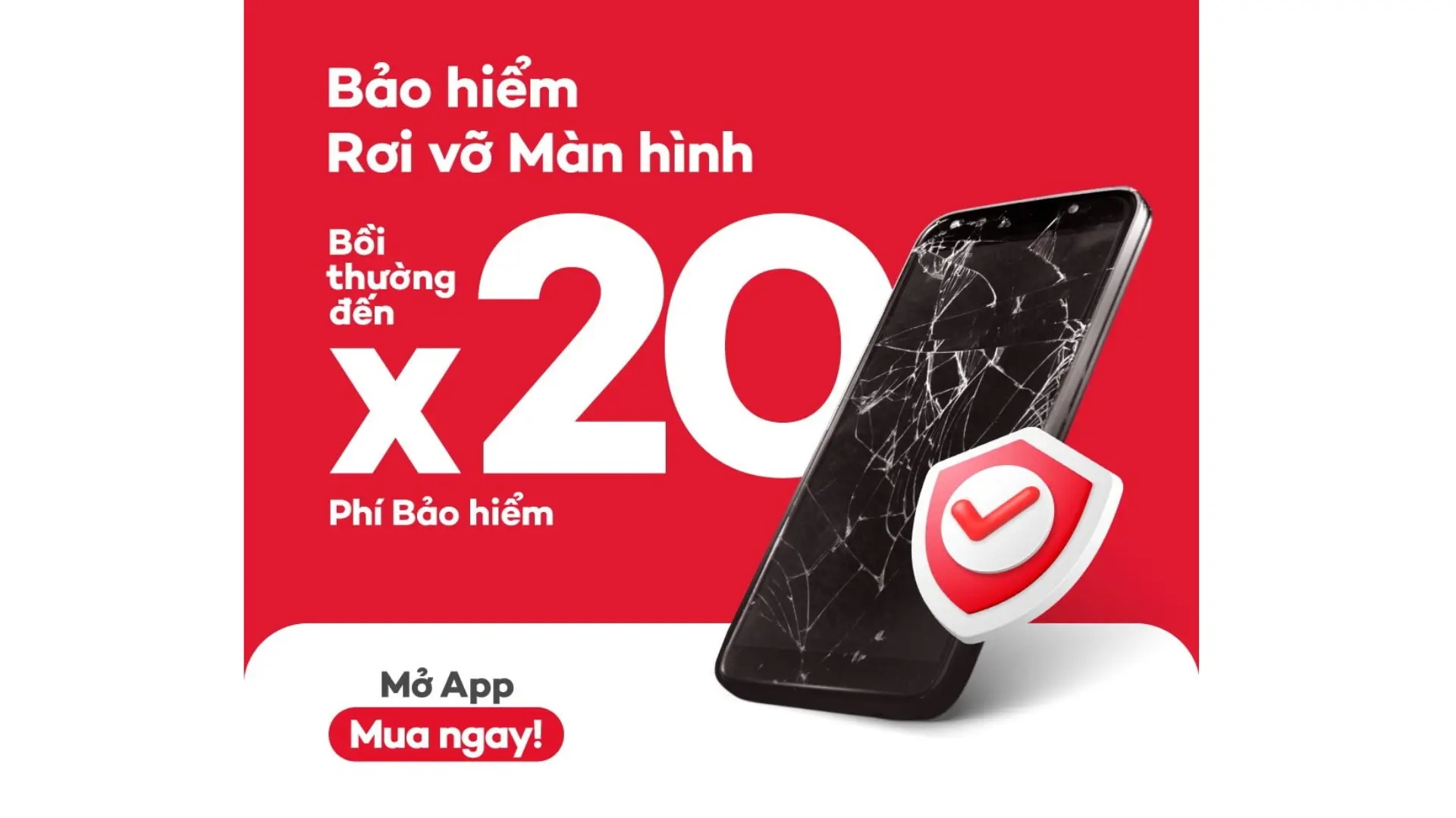 bao-hiem-roi-vo-man-hinh.webp